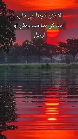 #كلام_من_القلب #اكسبلور 