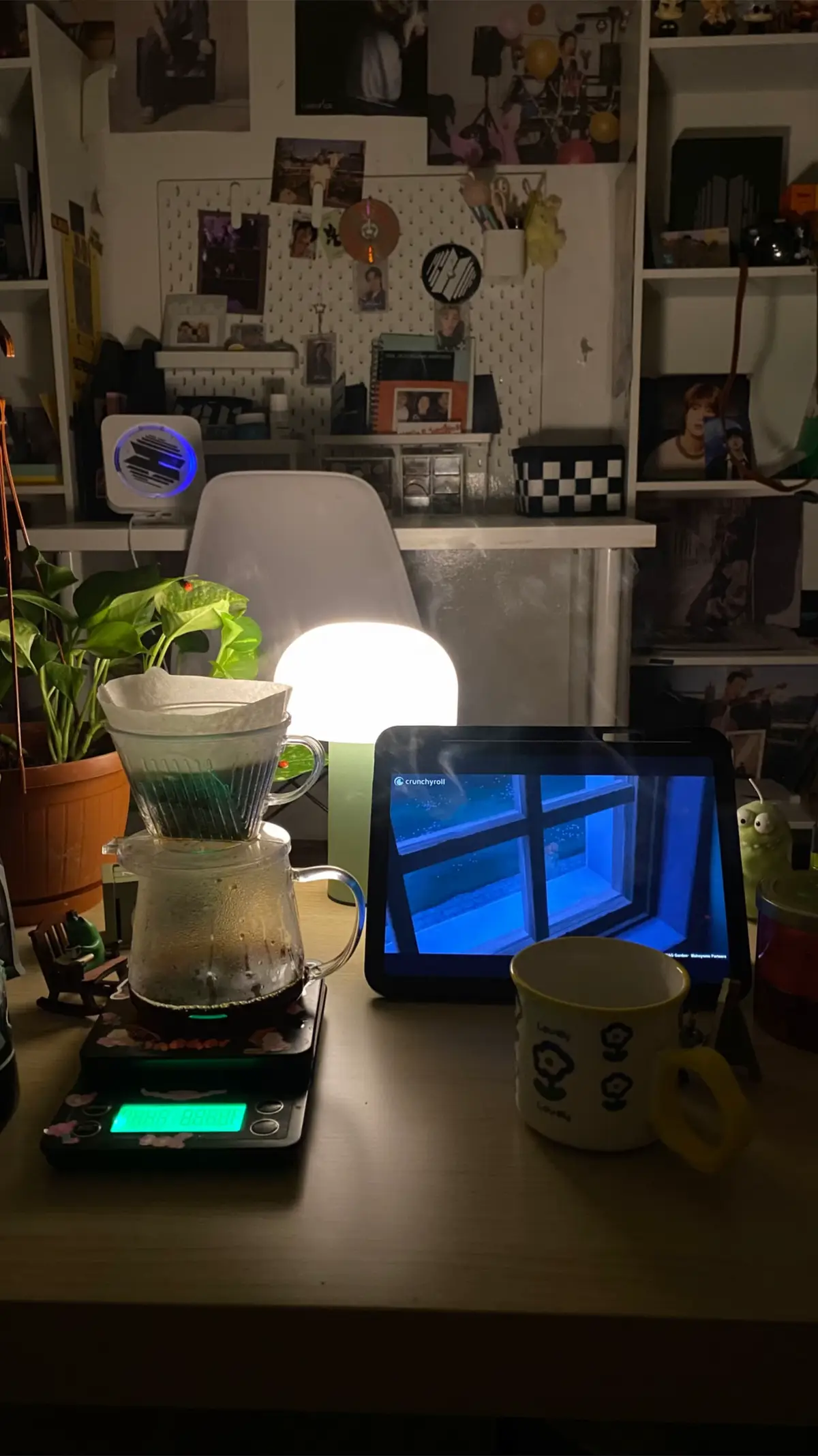 #mylife  #bts  🤍🐋🍰🫁🌻⭐️✨🌈🌥️☕️