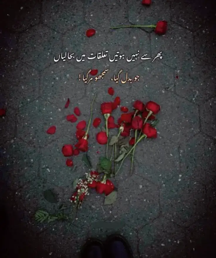 #foryoupage_tik_tok #videoviral 