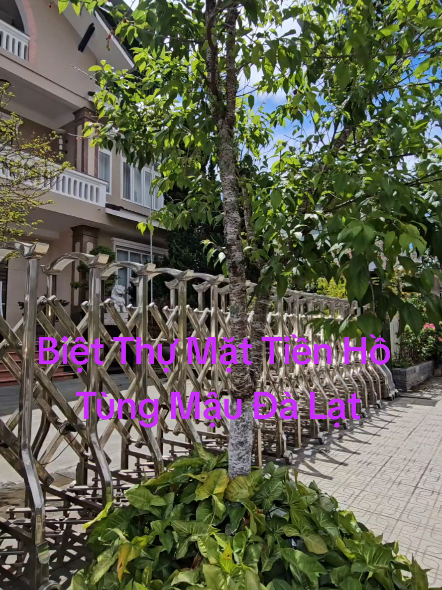 Nâng vị thế gia chủ . Biệt thự mặt tiền Hồ Xuân Hương Đà Lạt #homestay #quanbdsdalat #bietthu #thinhhanh #trending #xuhuongtiktok #xuhuong #village #bietthusanvuon 