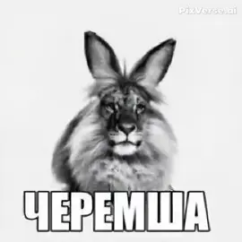 #черемша