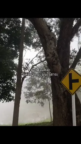 #ฟีด 