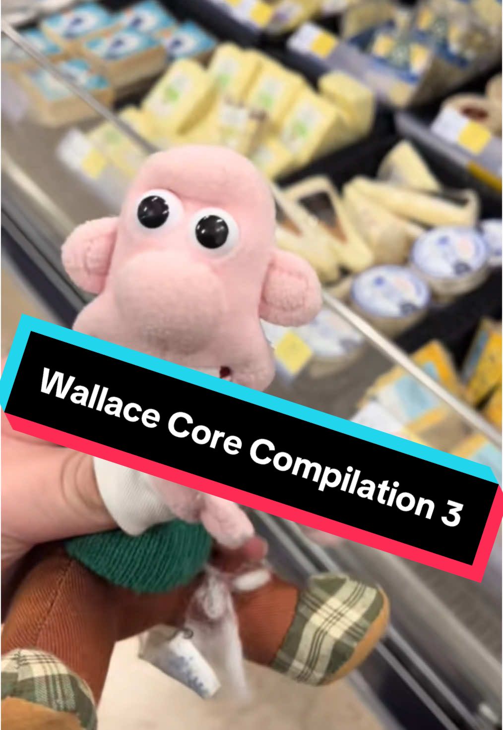 Wallace Core Compilation 3 #fyp #bigfreezeswallace #wallaceandgromit 