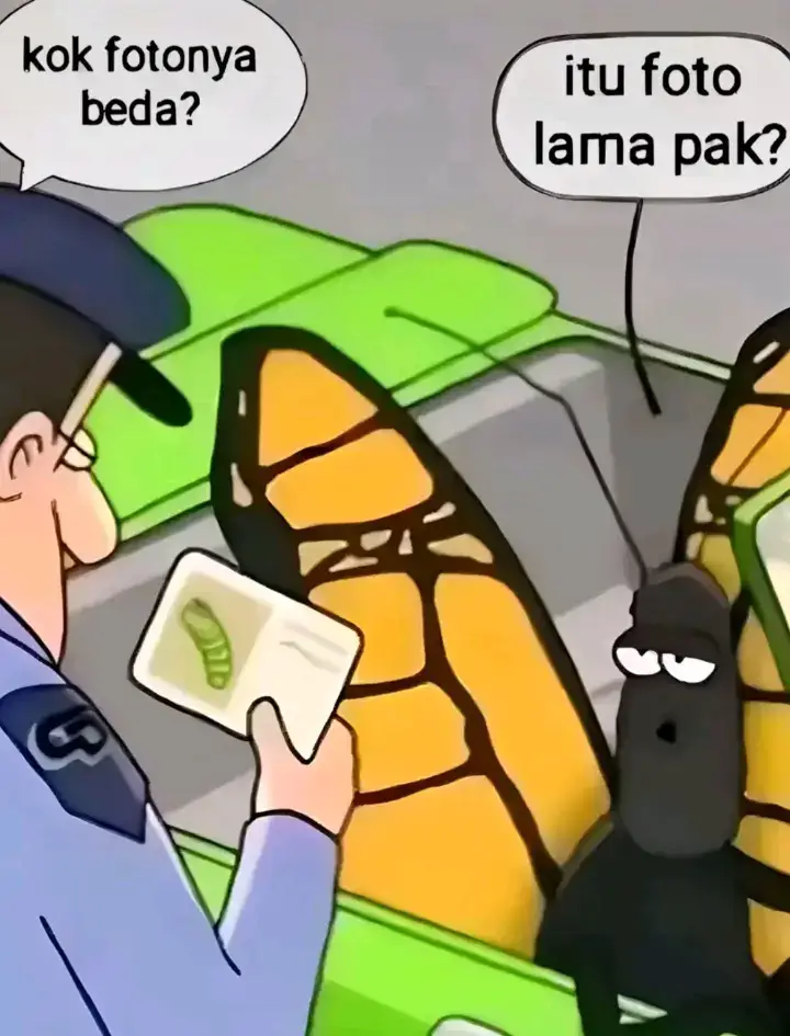 #fyp