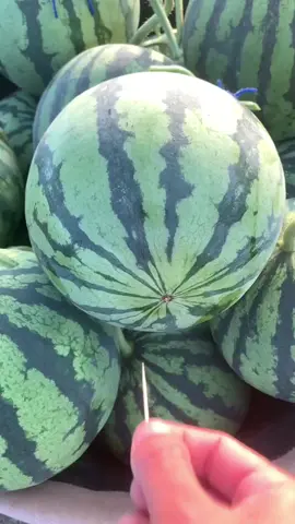 (1 minute) Amazing Fruit 😱 #asmr #fruit #fruits