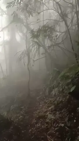 sepi yang kaya gini yang di harapkan #gunungkarangpandeglang  #gunungkarangsukarena #gunungindonesia  #mentahanvideo 