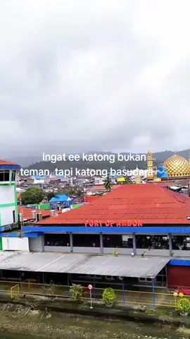 sehat