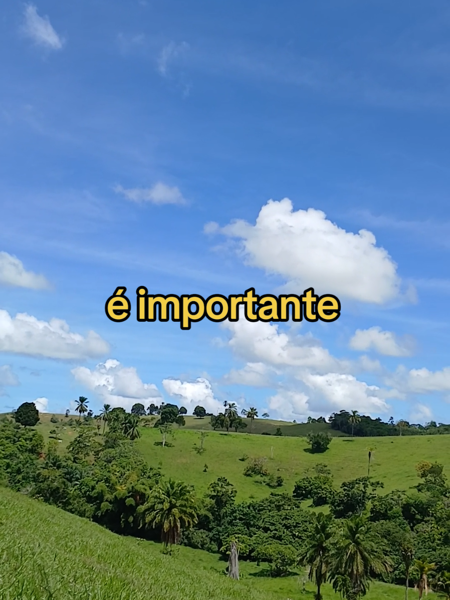 Ela é a que realmente se importa com você 