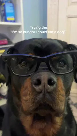 Tell the dog I’m hungry I can eat a dog#foryou #dog #fyp #funny #funnyvideo 