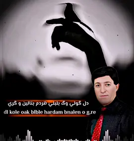 #𝐅𝐚𝐫𝐞𝐬 𝐛𝐚𝐛𝐞 𝐟𝐞𝐫𝐚𝐬#فارس_كاباري🥀🥺❤️‍ #اوصمان_فارس_بابي_فيراس #شنكال_شيخان_بعدري_بعشيقة #قامشلو_عامودا_حسكة_عفرين_كوباني_ديريك #دهوك_زاخو_سليماني_ئاكري_ئامیدی_هولیر 