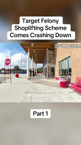 Target Felony Shoplifting Scheme Comes Crashing Down#cops #copsoftiktok #police #policeofficer #bodycam #crime #truecrime #truestory #foryou #fyp 