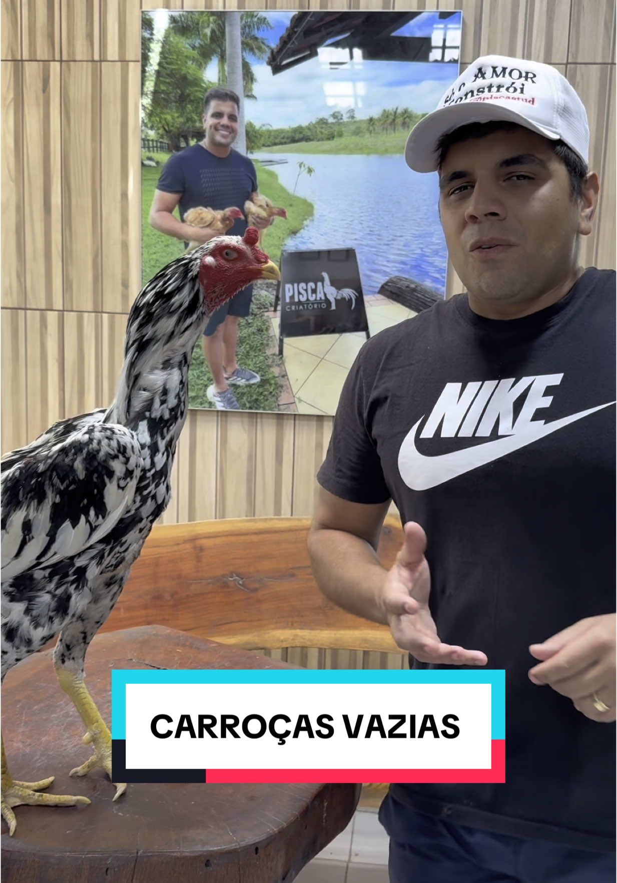 Não perca seu tempo com carroças vazias! Pega a visão ✈️🌍🐓💥