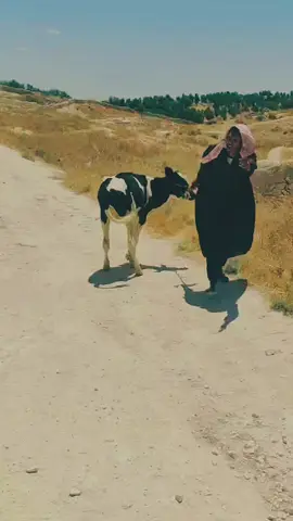 #رواد_السوري 