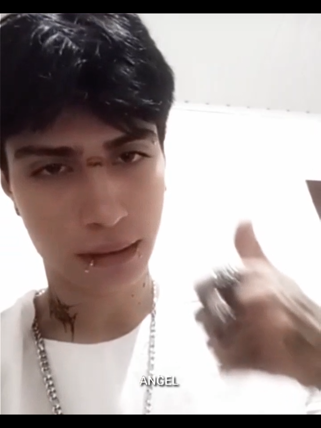 parece q eu perdi alguém da minha família slk descanse em paz mn tuca 🤍🕊🌹 #tuca #paravoce #parati #foryou #fyp #fypviralシ #viral #viralvideo 