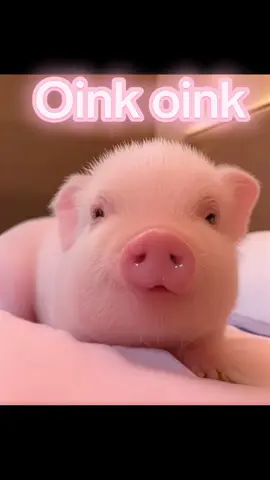🐽  #videosparaniños #cancionesparaniños #tiktokids #kidsoftiktok #forkids 