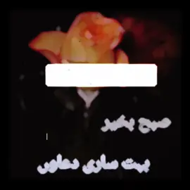 #raheelaali5 #viral 