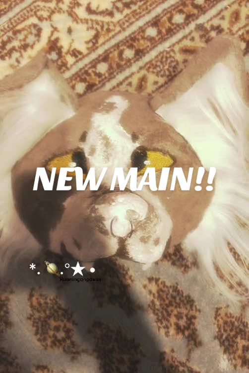 {#RUNNINGONPAWSS } New main mask alert!⁉️🙀 this guy is a border collie, took me (about) 2 days to make him! |#frypgシ #quadrobics #crazyiwascrazyoncetheylockedmeinaroomrubberroomarubberroomwithratsandratstheymkemecrazy #viral #alffagroup🤑🤑 #suomiquadrobist #fit #Summer #dontletthisflop #caninemask #woof #kemonomimi #dogs #theriantoes |