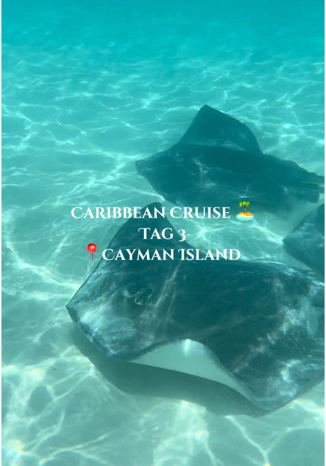 Caribbean Cruise 🏝️| Tag 3 📍Cayman Island #fyp #foryoupage #viral #KaribikKreuzfahrt #CruiseTok #TravelVlog #CaribbeanVibes #CruiseLife #caymanislands #caribbeancruise 