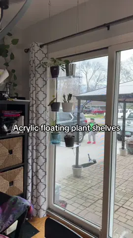 This shelf is so customizable. @Lifewit #plantshelf #acrylicshelf #acrylicplantshelf #floatingshelf #plants 