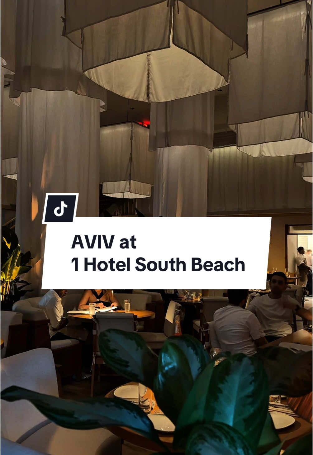 When they say, ‘I made you a reservation at Aviv. I’ll pick you up at 6pm,’ vs. ‘wyd tonight?’  #miamieats #miamirestaurants #thingstodoinmiami #foodietok