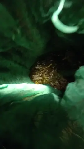 vô địch mót mót mà vui🤣🤣🥰🥰