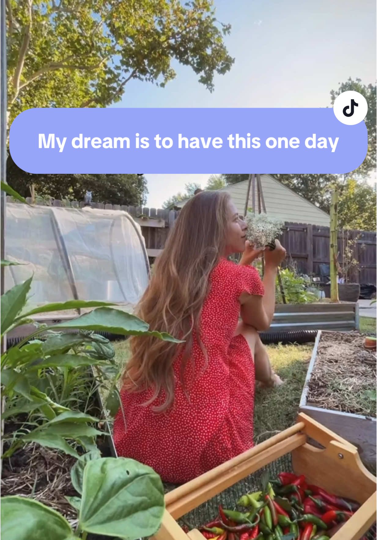 Never giving up on this dream 💕 I made this video back in 2022 before many of you were following my account. The goals are still the same. We actually got close to purchasing a A-frame a little over a year ago, put a offer in but it wasn’t the right move so we backed out. It also wasn’t on as much land as I would have hoped for either. I often get asked if we plan to move with how much I’ve maxed out the garden. We will one day, but I’m picky and there’s so many boxes that would have to be checked before we ever leave our current space…. Like a Aframe lol those are hard to come by! Ideally I want around 5 acres and to be a bit outside of the city too! I’ll take any cool mid century home though if it’s right! Until then this dream will continue to be close to my heart, and I’ll appreciate my current space for everything it’s taught me in the meantime! I would have never guessed 8 years ago when I started to garden how much food I could grow with 2000sqft. Immerse yourself wherever you are, and learn everything you can so when those goals become a reality you’re ready! ✨  #mydream #gardening #homegrown #growyourownfood #inspiration