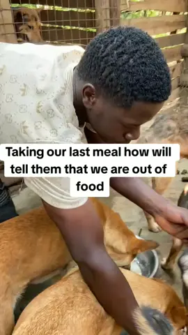 hello my brothers and sisters it's really heartbreaking that we are taking our last meal and no one is caring to help please spare something for the stray dogs