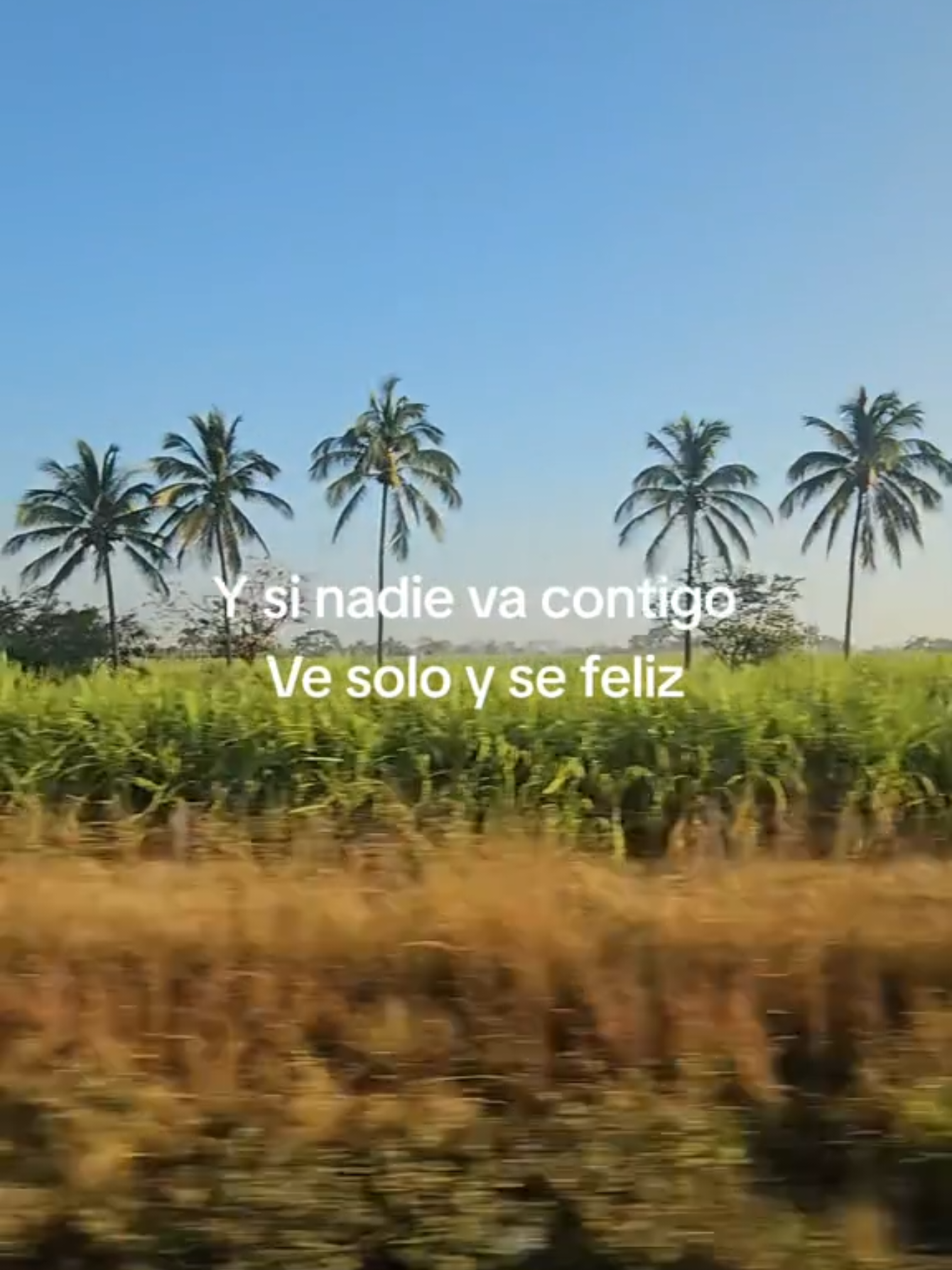🙂‍↔️ #forbiddenvoices #solo #feliz #soledad #viaje #musicvideo #song  #naturaleza #paisajes #fyp #paratii #fpy #xbyzca #xybca #you #paratiiiiiiiiiiiiiiiiiiiiiiiiiiiiiii #foryu #aventura #viajarsolo #experiencia #anecdota #contenido #tiktoknews  #martingarrix #ElectronicMusic #paravoce #paraty #viral_video #travesia 