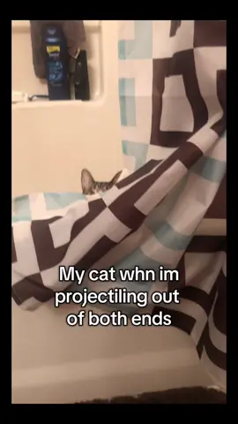 💩🚽!! #Cats #cat #catsofinstagram #cattok #catsoftiktok #lol #catlife #catmomlife #catmom #catmama #lmao #hahah #cute #ilovecats #ilovemycat #dexter #dexterthecat #catlover #catlovers #catloversoftiktok #kittycat #kittycats #catsbeingcats #catsdoingthings #catsbeingcats #myworld #likeit #likeitup #makemeviral #laughitup #cutecat #whatcatsdo #catdog #distance #oops #fyp #likeit #likeitup #funnyshit #funnystuff  