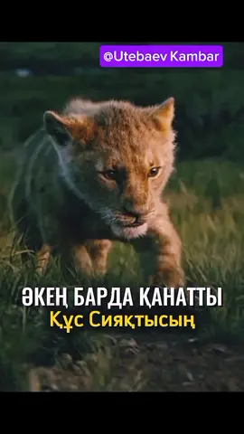 ӘКЕҢ БАРДА ҚАНАТТЫ ҚҰС СИЯҚТЫСЫҢ! 