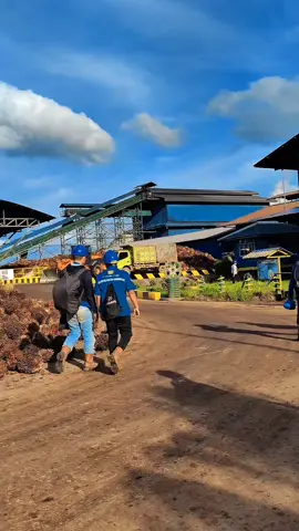 Aroma 12jtnya lagi kuat banget bulan depan ini 😂 #pks  #pabriksawit  #operatormudapunyacerita  #gilakerja  #pekerjakeras  #engineroom  #buahsawit  #boiler  #julonggroupindonesia  #pabriksawitkalimantan  #Kelapa Sawit Luas  #kelapasawit  #CapCut 