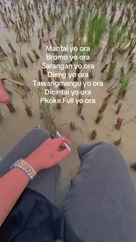 Full yo ora😭 #fyp #trending #trendvidio #brebespride #brebesbarat 