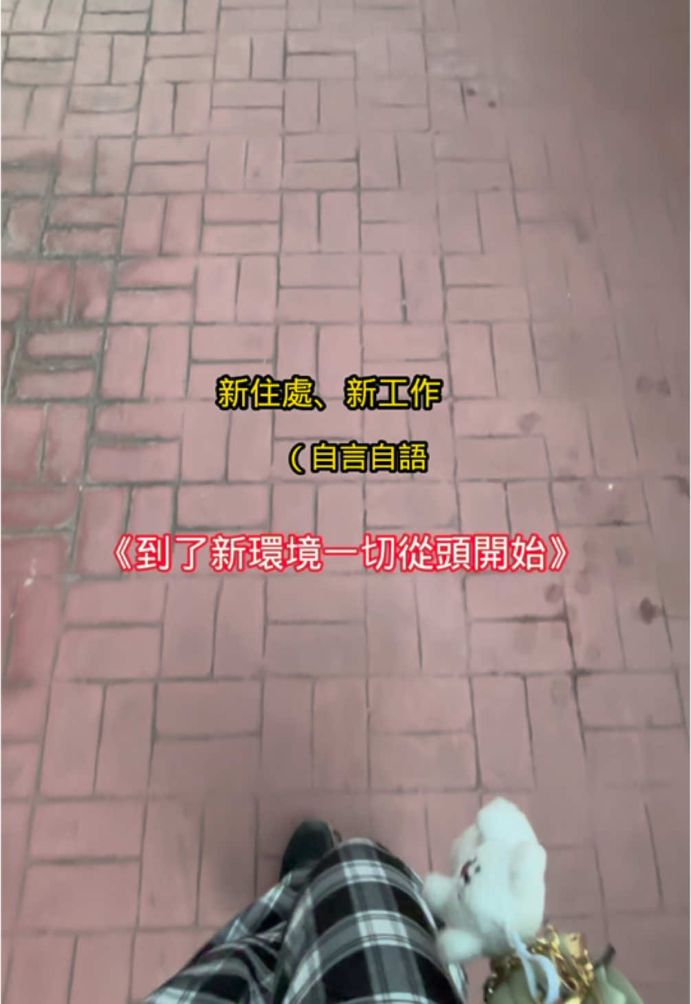 你們為什麼會在這裡？！ #澄霖雙胞胎 #雙胞胎 #閨蜜 #室友