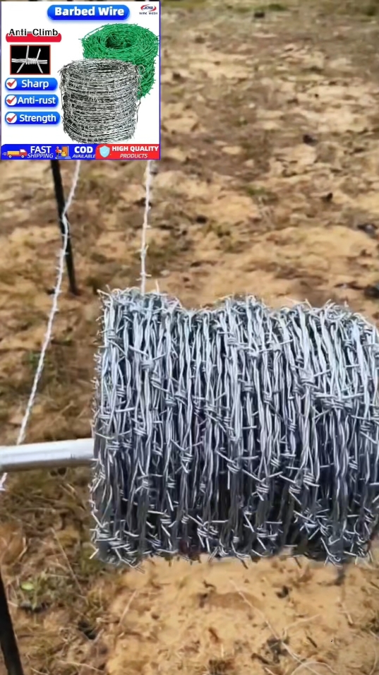 JOYA 50 / 100M Galvanized Iron Barbed Wire for Garden Fences Anti-climb Protect Fence Anti-rust PVC Coated Barbed Wire Fence#Steel wire barbed rope # barbed wire # anti-climbing barbed wire # anti-theft iron thorn # outdoor rust-proof barbed wire fence # anti-climbing Gill net # fence hot-dip galvanized thorn rope # iron Tribulus terrestris thorn rope # efficient energy utility # hardware tools # good stuff sharing #fyp #foryou #tiktokshop #goodthing 
