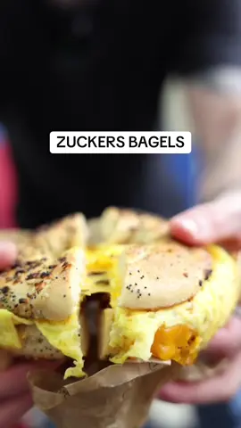 chasing pub ep 008 zuckers bagels