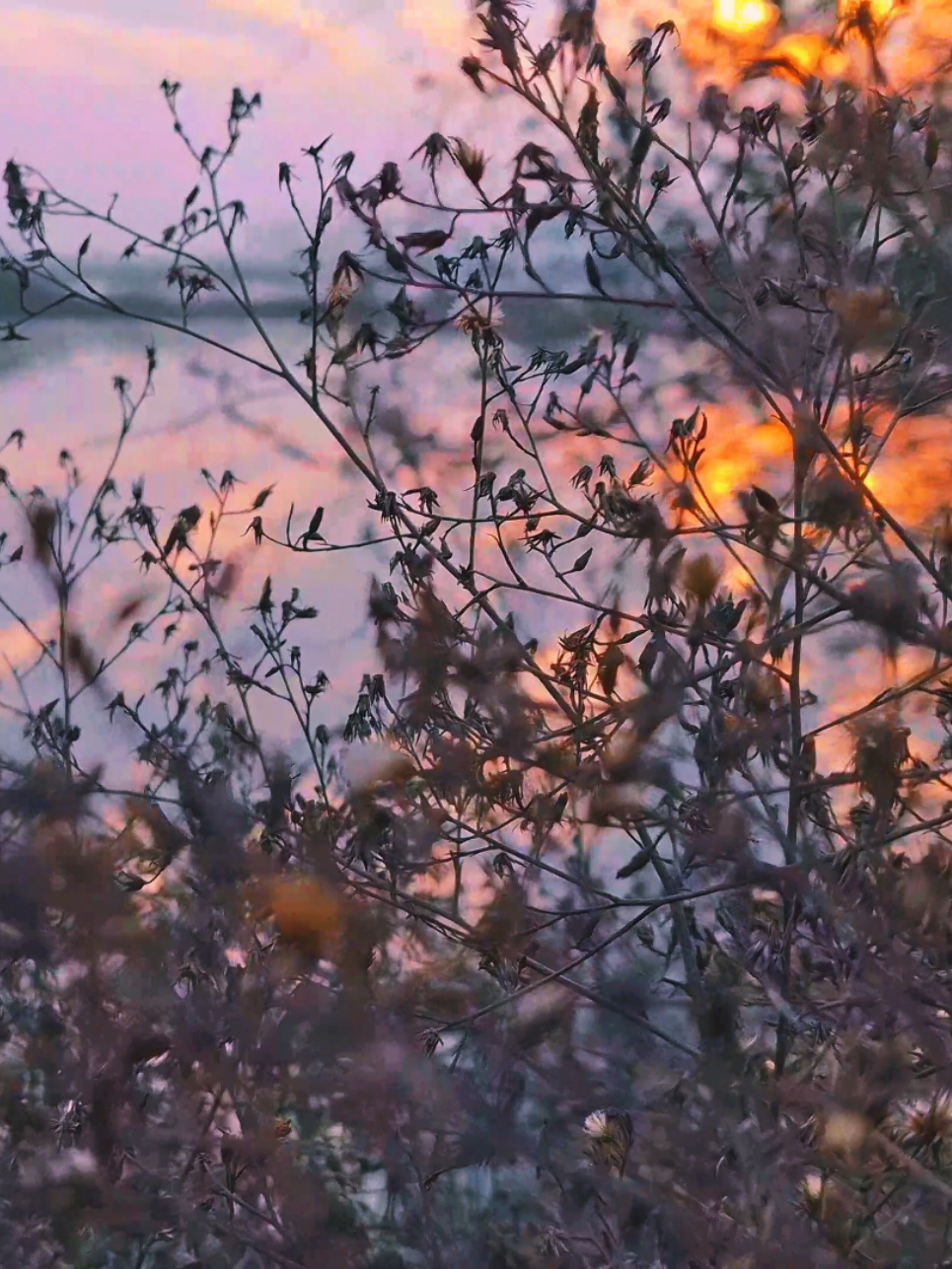 #cinematic #lovestoryindila #fyp #gllandscapes #morning #videography #editing #viral #mobileography #capcut_edit #edit #template #foru #nature  #lovestorysong #romanticsong #song #romantico #asthetic #cinamatography #tik_tok #4k  #eidmubarak #songs #sky 
