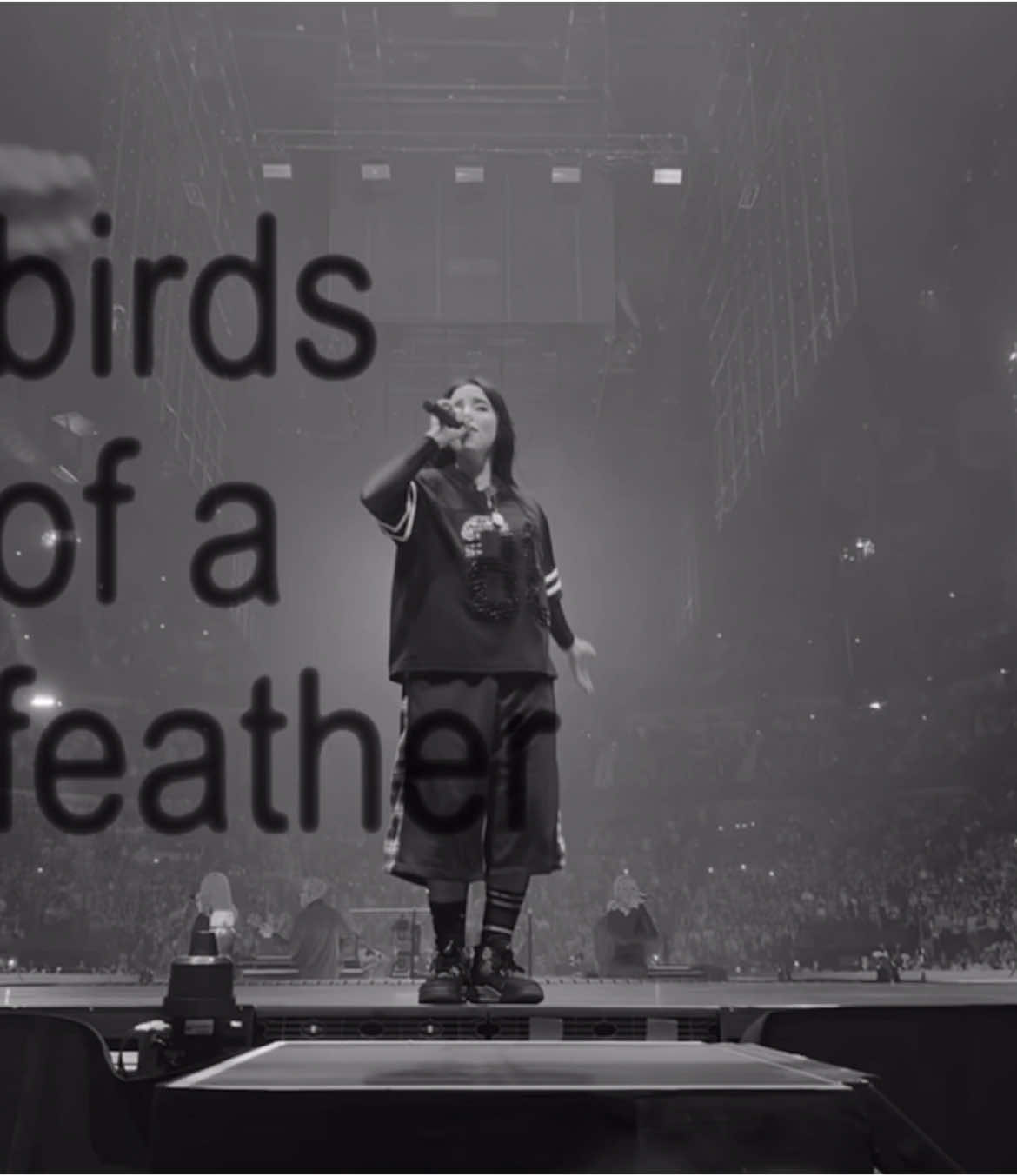 birds of a feather- billie eilish #fyp #viral #birdsofafeather #billieeilish #aesthetic #edit #xyzbca #birds #of #a #feather #billieeilish 
