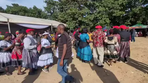 2025the Lozi people of  western province of Zambia Celebrating the Kuomboka ceremony at Royal palace.... Cultural revolution 🇿🇲🐘