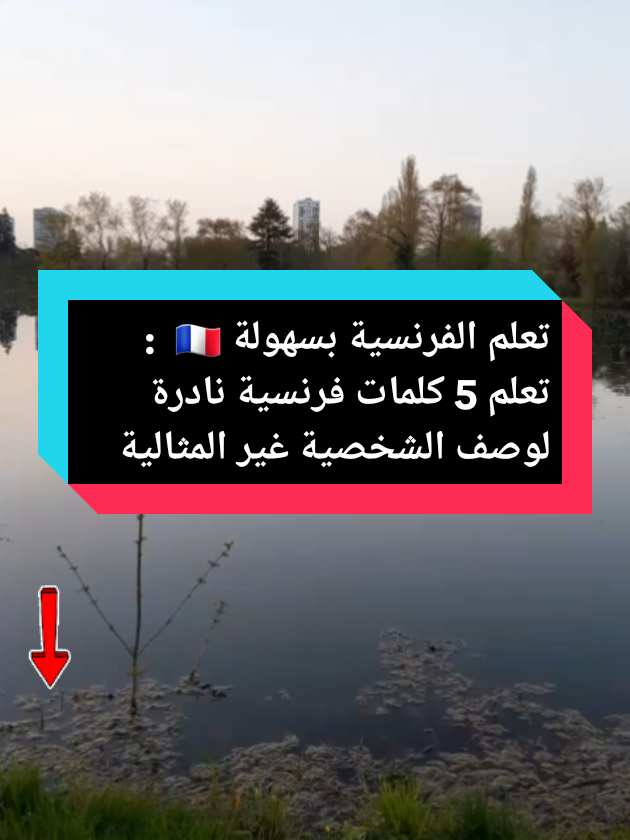 تعلم الفرنسية بسهولة 🇫🇷 : كلمات فرنسية شائعة ونادرة لوصف الشخصية غير المثالية #apprendrelefrançais #francais  #francaise🇨🇵  #كلمات   #viral_video #tiktokfrance🇨🇵  #fyp #france #arab #algerie🇩🇿 #maroc #tunisie #تعلم_الفرنسية #تعلم_اللغة_الفرنسية #inspiration 