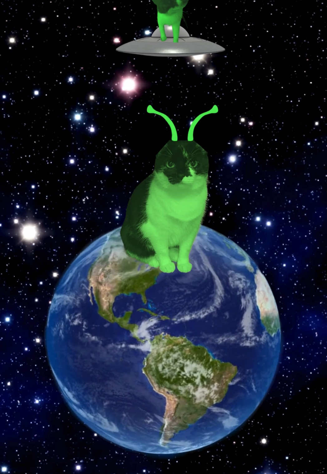 i turn into alien cat now 👽 . . . . . #alien #cat #aliencat #tuxedocat #catsoftiktok 