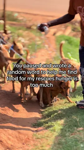 #animalsoftiktok #goviral #foryoupag #savedogs 