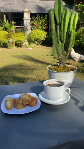 Suasana ngopi di pagi hari dengan hidup sederhana di rumah Pondok #pondokumapadi #bali #fyp #kopihitam 