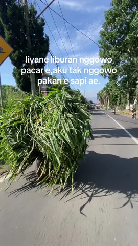 bukan e emoh mbek arek wedok,iyo iku wong ancen gadue arek wedok😭