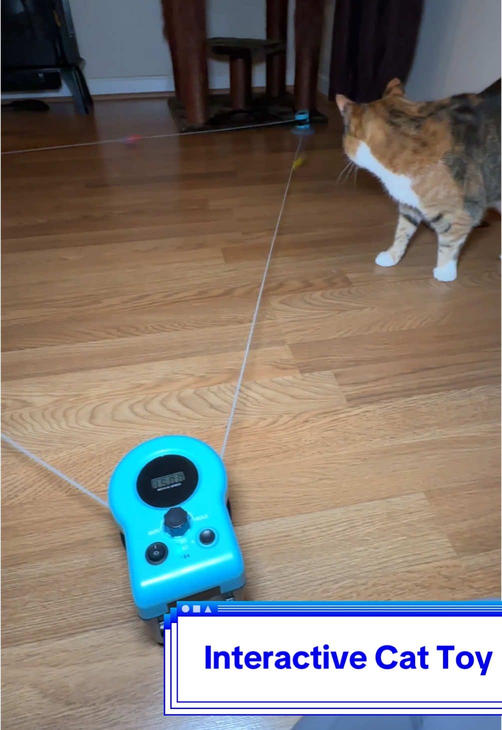Interactive Lure Cat Toy #cattoys #interactivecattoy #runningcattoy #asfrostpet #fyp #petluremachine 