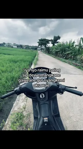 raine ws jos#beranda #lantaiatas #fyp #nyotosawah 