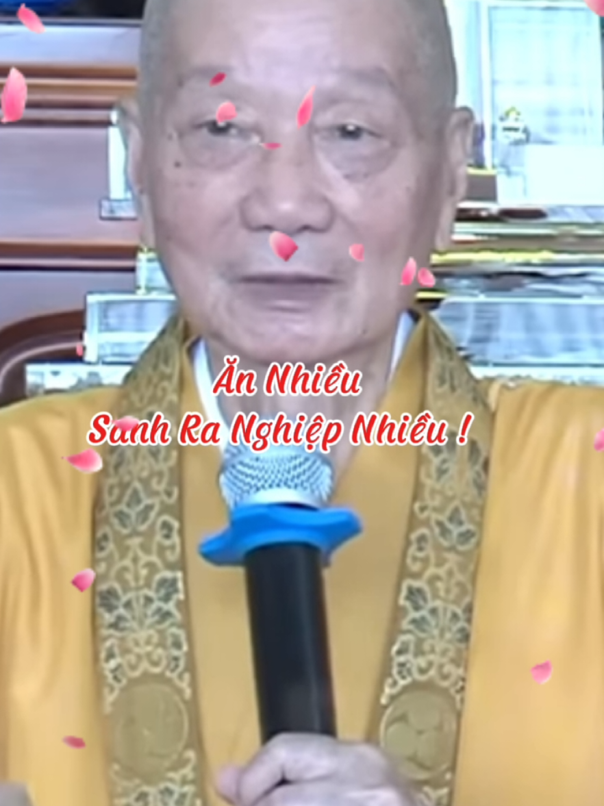 Ăn nhiều thì nghiệp nhiều #loiPhatday #ThichTriQuang #thongdiepcuocsong #nhungcaunoihay #xuhuongtiktok 