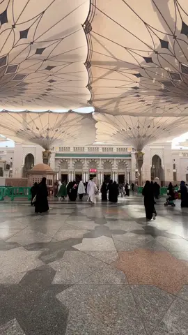 Pergi ibadah umroh tuh kayak unlock tempat impian yang penuh keajaiban gitu, hidup rasanya lebih tenang, nyaman, enteng, segala segaalanya kalau kita minta dipermudah dipermudah, Allahuakbar🥺 . Itu kenapa umroh tu cocok bgr buat ibadahnya orang muda. Kalau udh umroh bismillah kita niatkan untuk ibadah Haji🤲 . . #umroh2025 #mekkah #madinah #mekkahalmukarammah #madinahalmunawaroh 