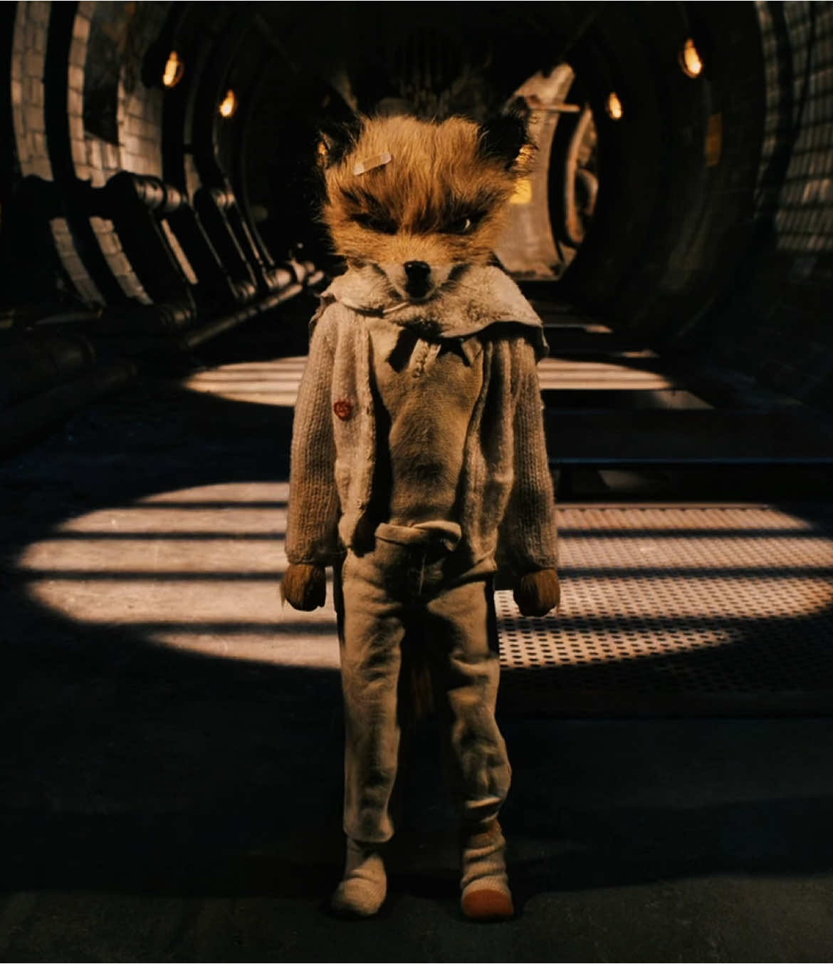best movie ever #fantasticmrfox 