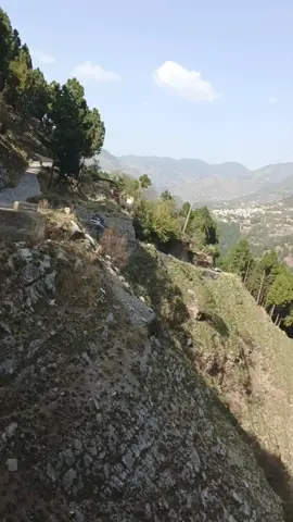#queen #hazara  abbottabad#viralvideo #the  [embarrassed][embarrassed][embarrassed]🐱🐱🐱🐱🦊🦊🦊🦊