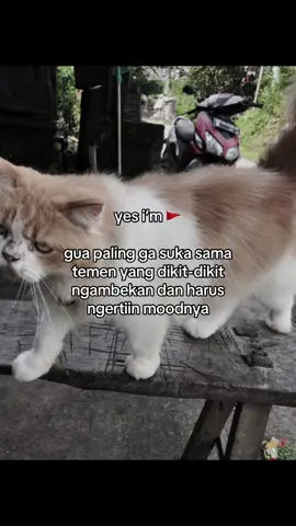 baru ga di ajak main langsung nyindir😂 #foryou #4u #xybca #fypシ゚ #katakata 